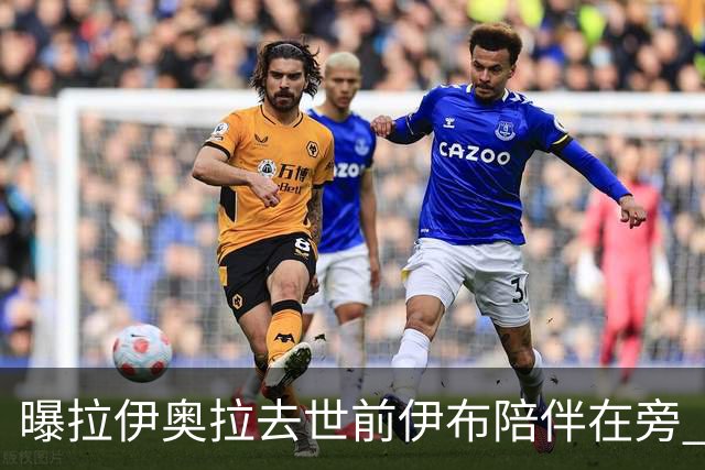 曝拉伊奥拉去世前伊布陪伴在旁 两人合作多年