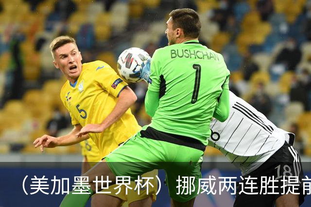 （美加墨世界杯）挪威两连胜提前出线 约旦遭逆转提前出局